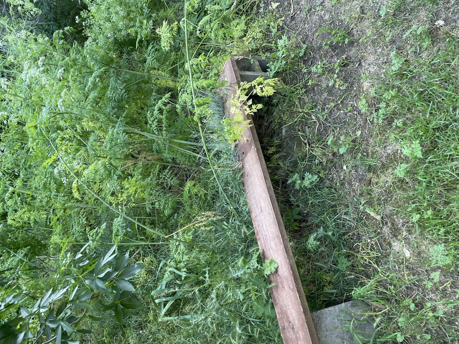Segment 67, photo 15