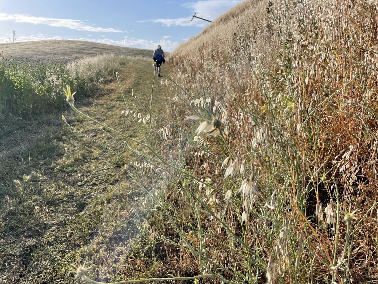 Segment 67, photo 17