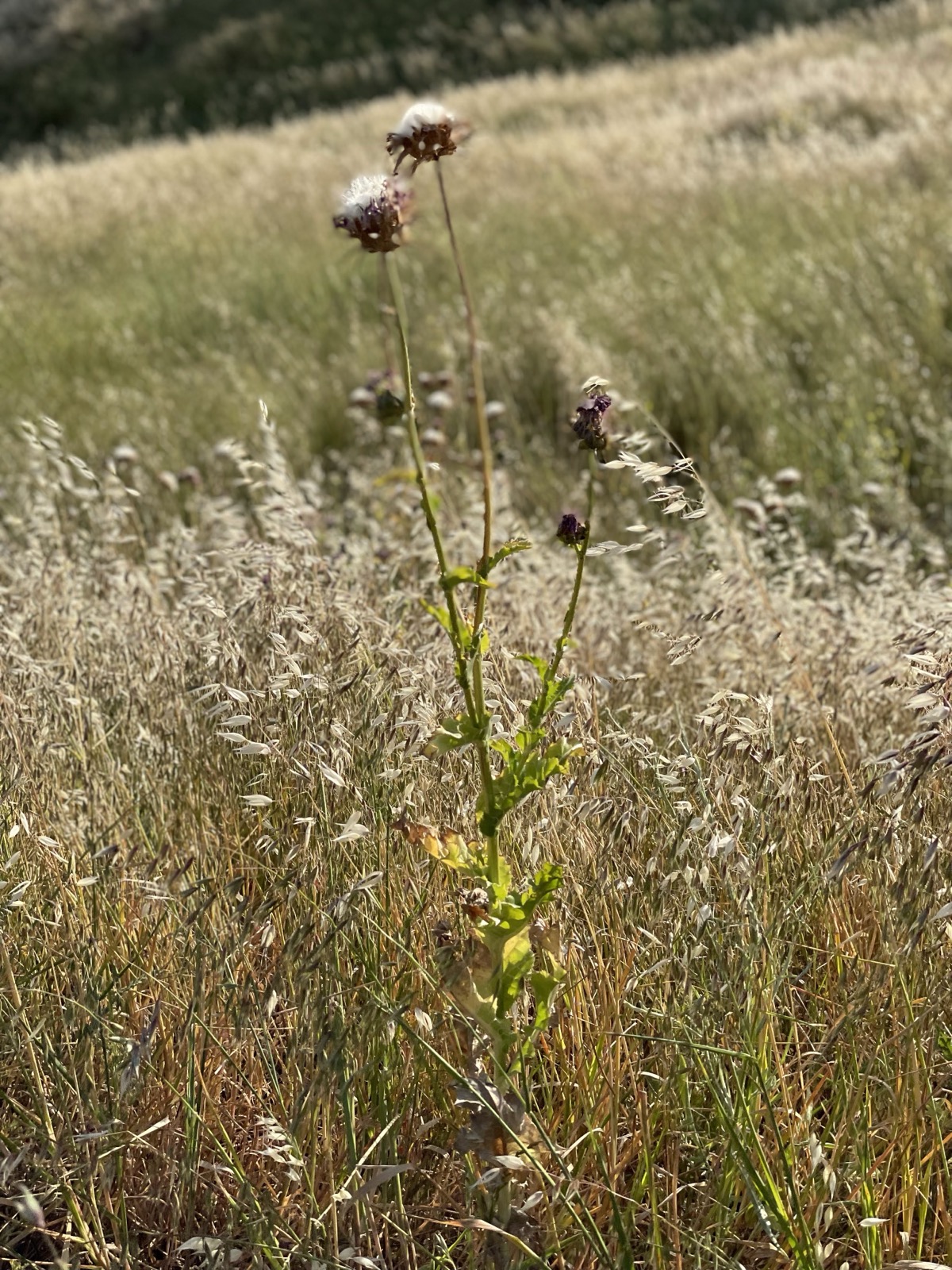 Segment 67, photo 22