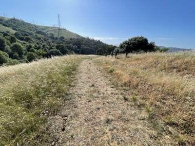 Segment 67 photo 2