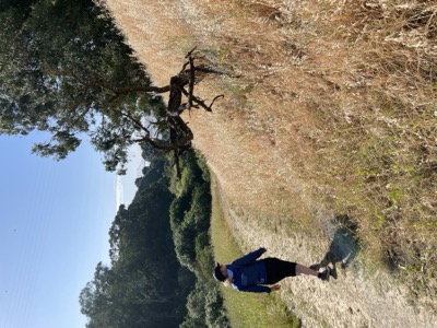 Segment 67 photo 3