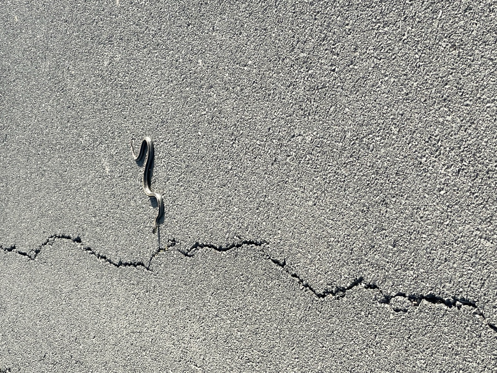Segment 68, photo 15