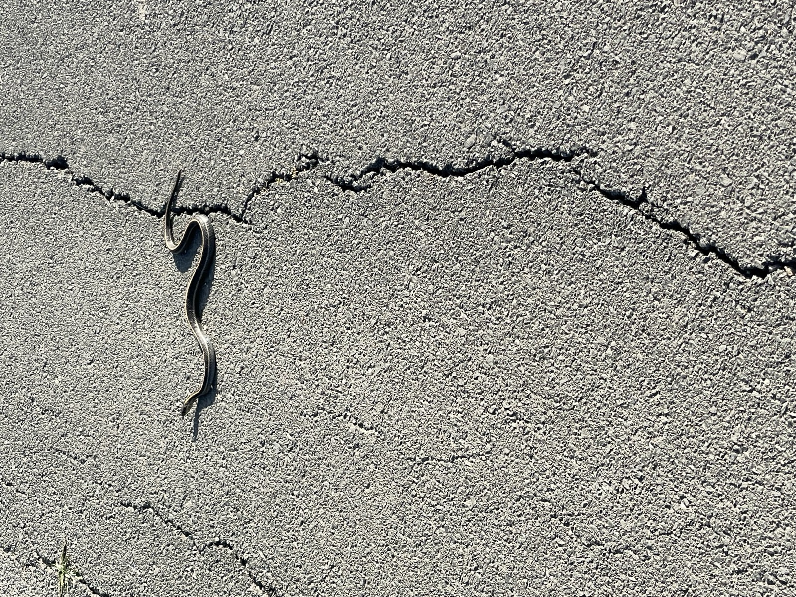 Segment 68, photo 16