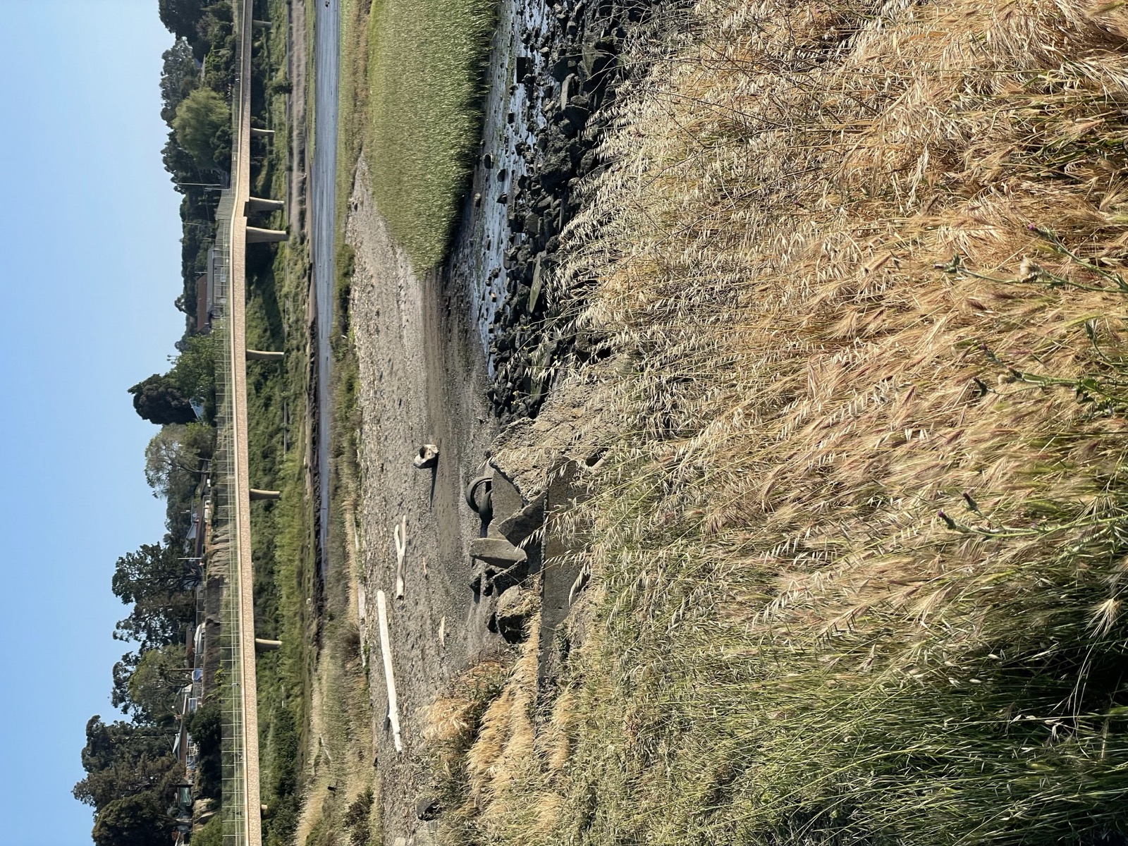 Segment 68, photo 23