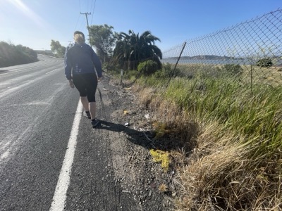 Segment 68 photo 2