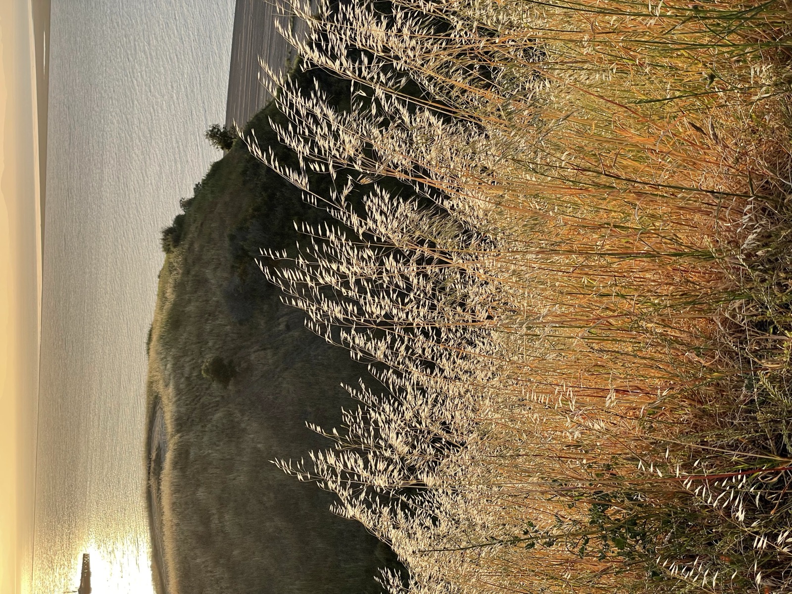 Segment 69, photo 6