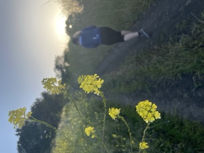 Segment 69 photo 1