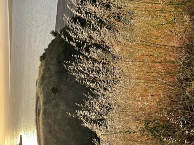 Segment 69 photo 6