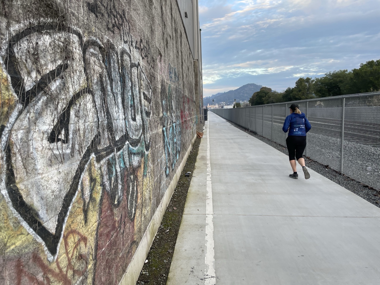 Segment 7, photo 12
