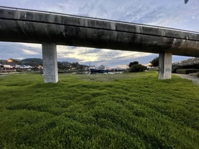 Segment 7 photo 6