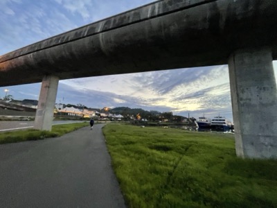 Segment 7 photo 7