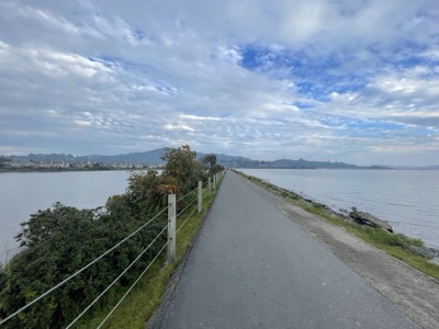 Segment 7 photo 19
