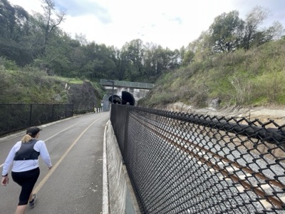 Segment 7 photo 21