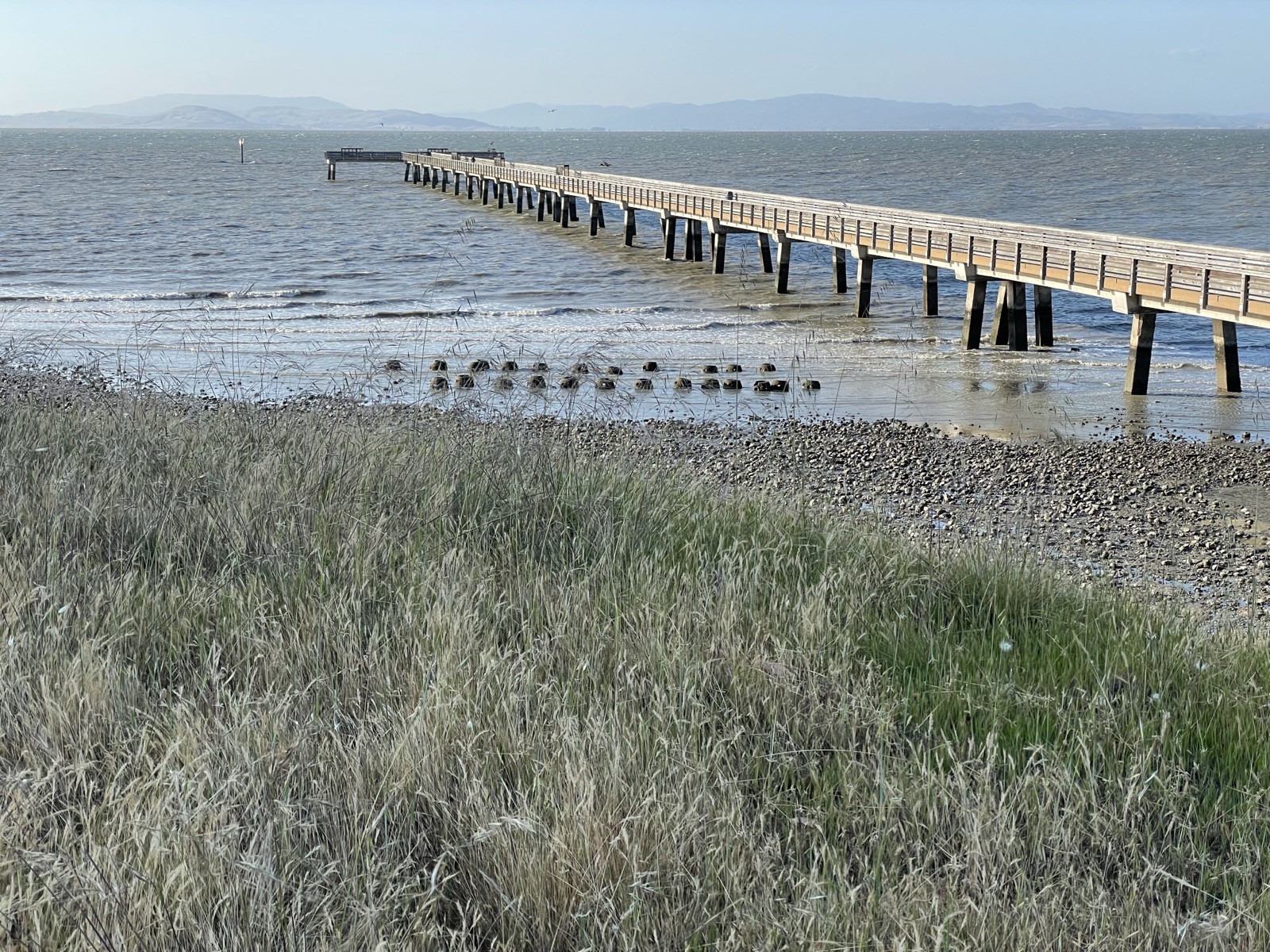 Segment 71, photo 10