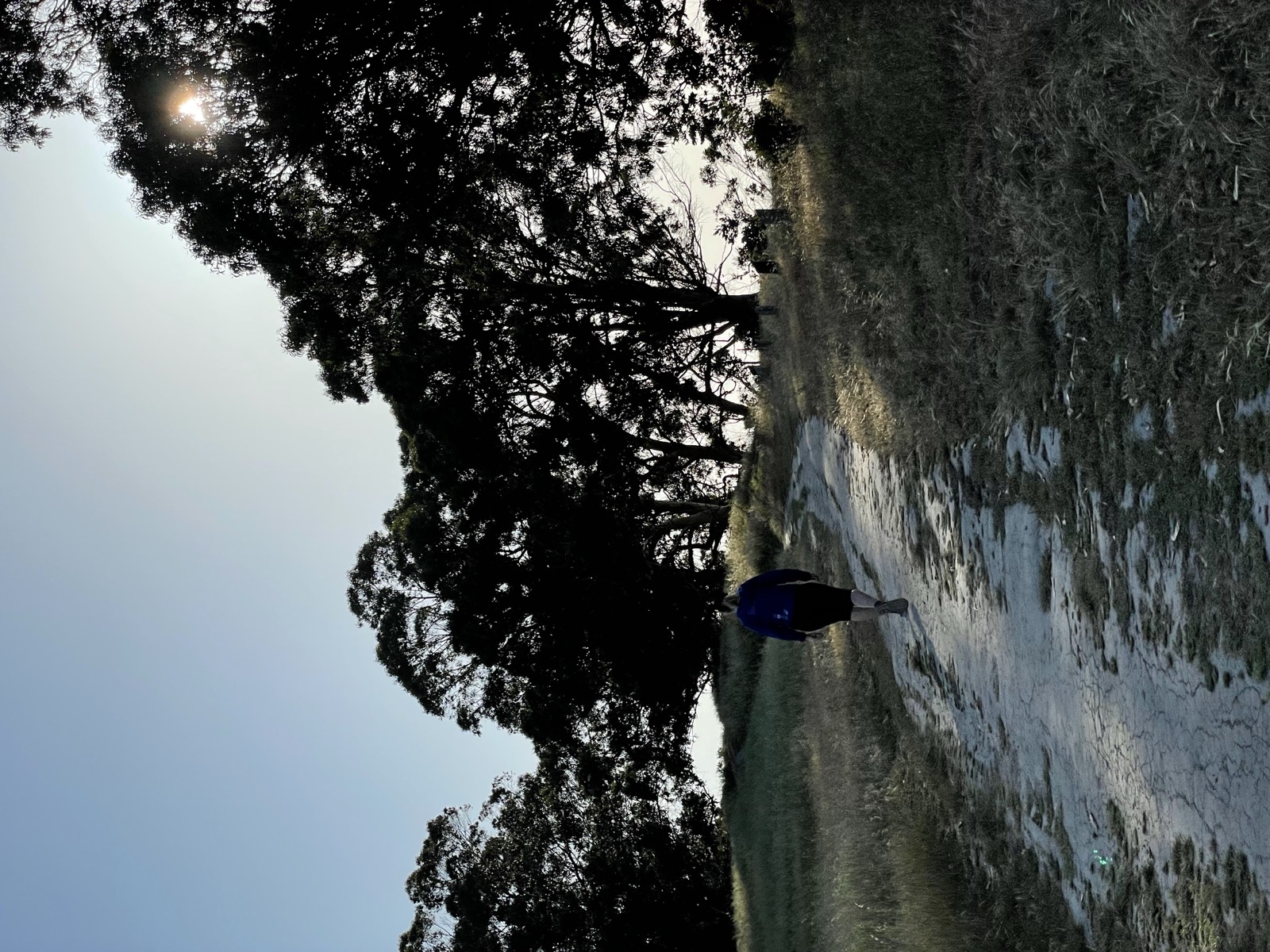Segment 71, photo 11