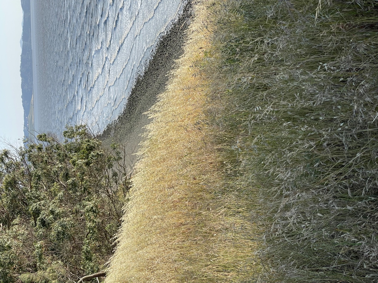 Segment 71, photo 14