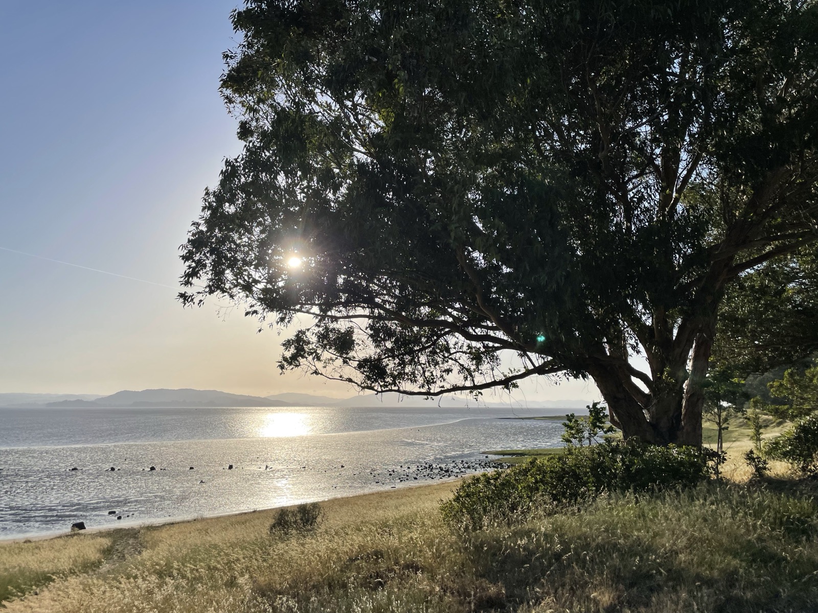 Segment 71, photo 15