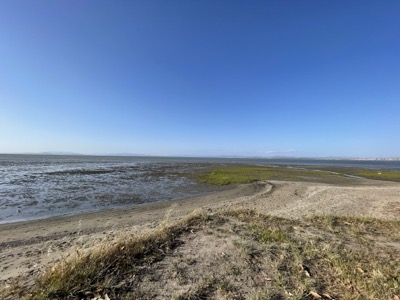 Segment 71 photo 4