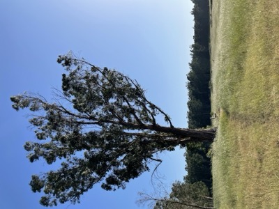 Segment 71 photo 6