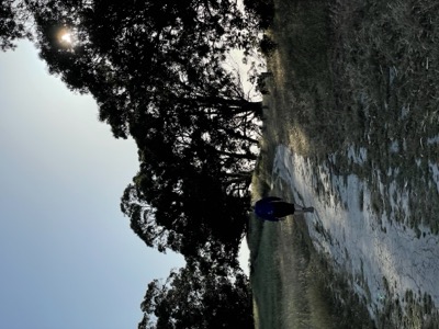 Segment 71 photo 11