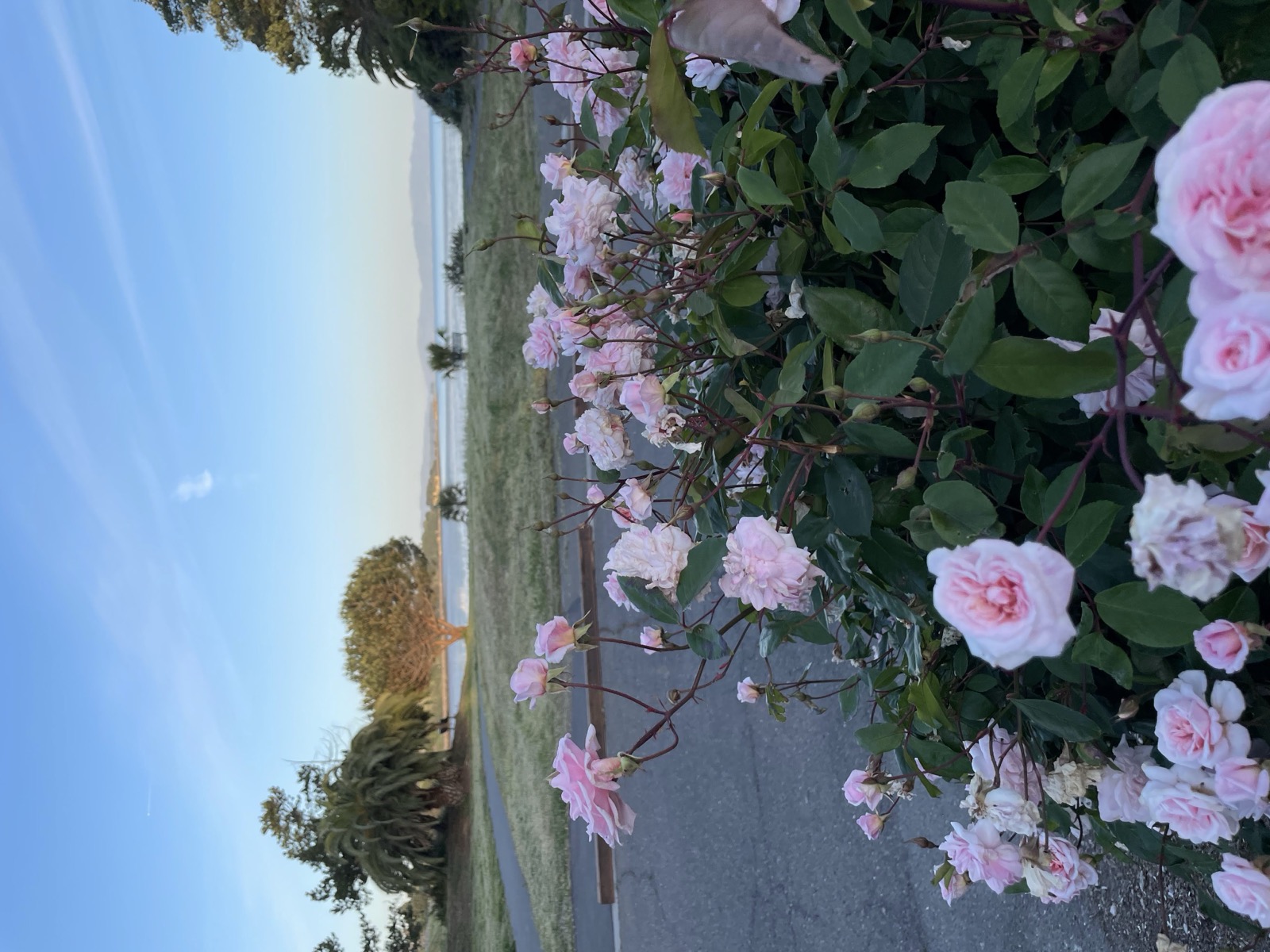 Segment 72, photo 1