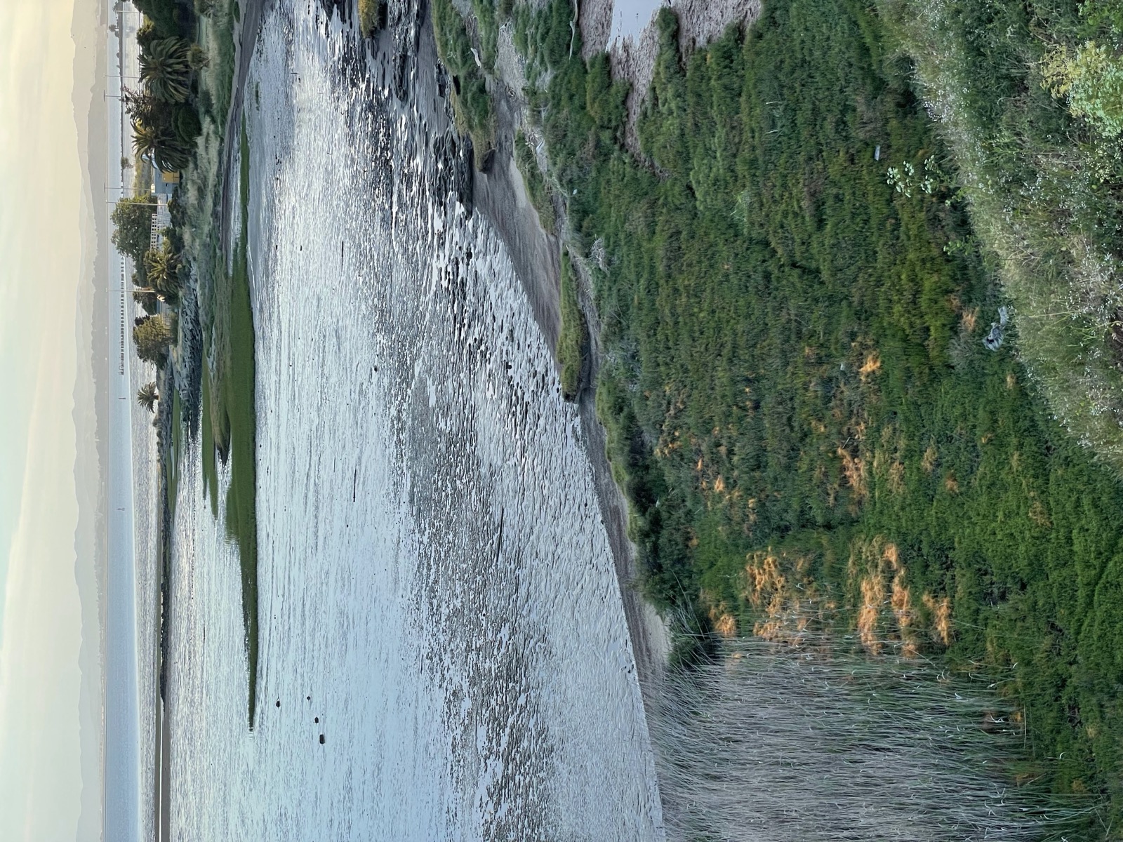 Segment 72, photo 8