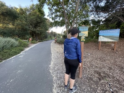 Segment 72 photo 2
