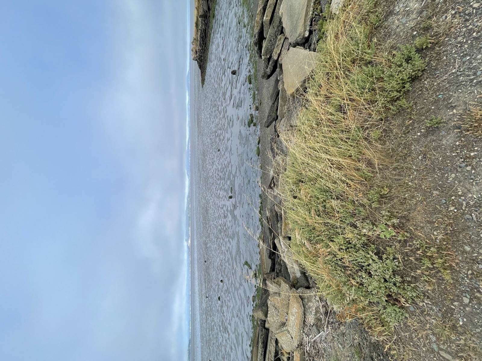 Segment 75, photo 9
