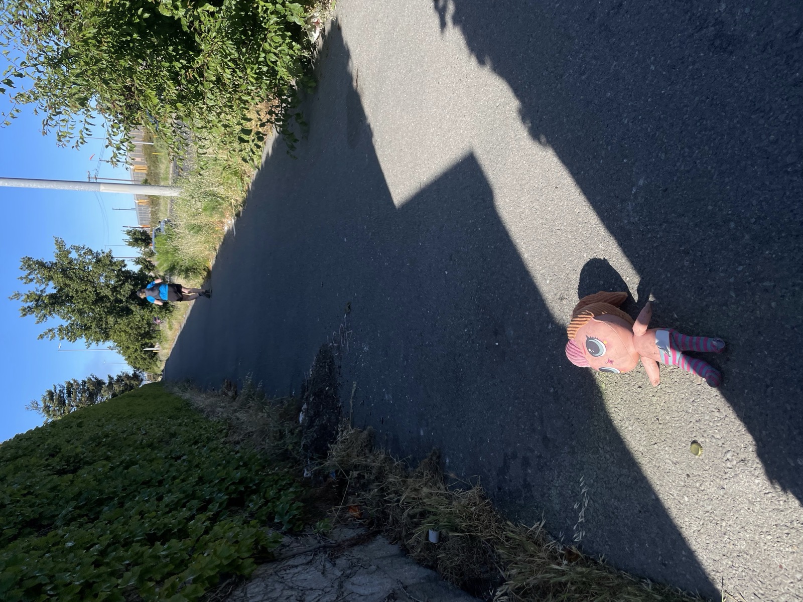 Segment 75, photo 16