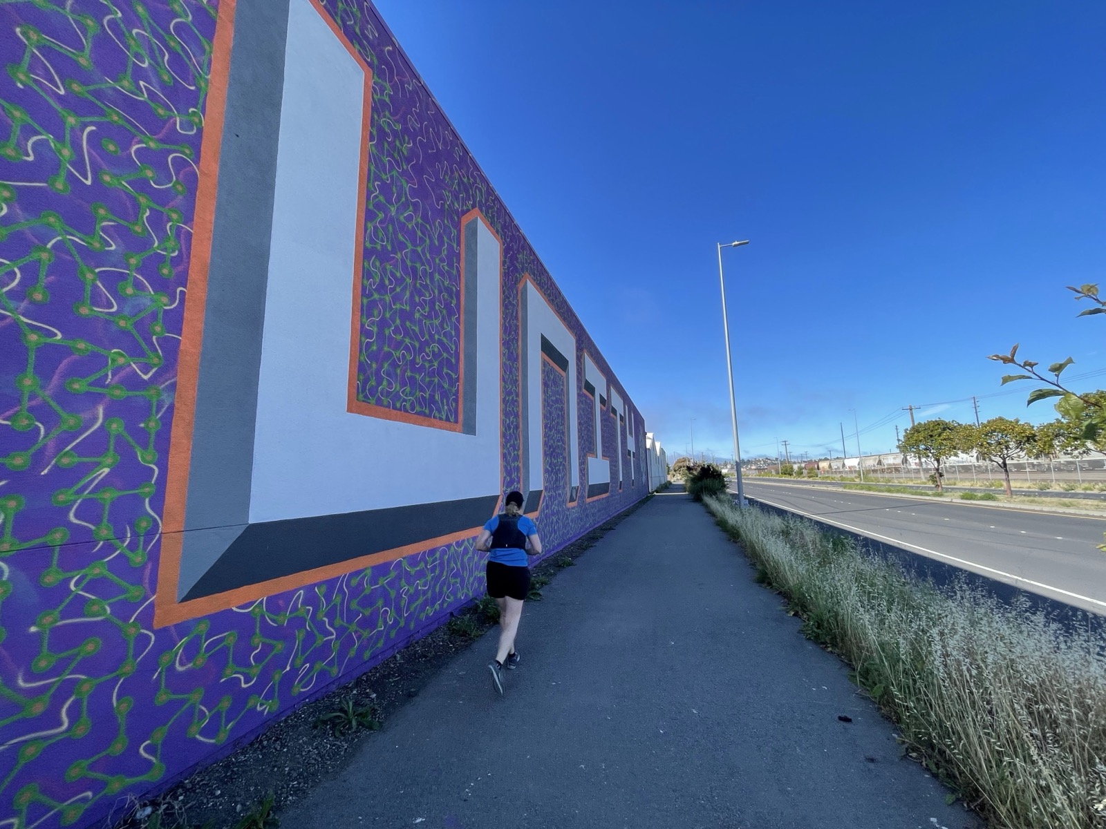 Segment 75, photo 17