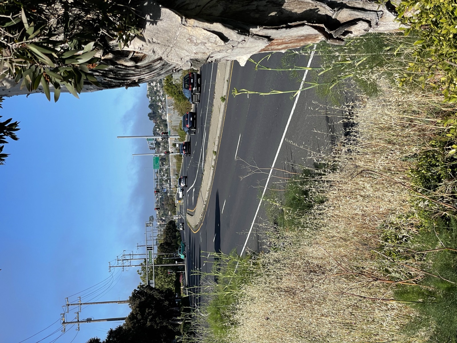 Segment 75, photo 18