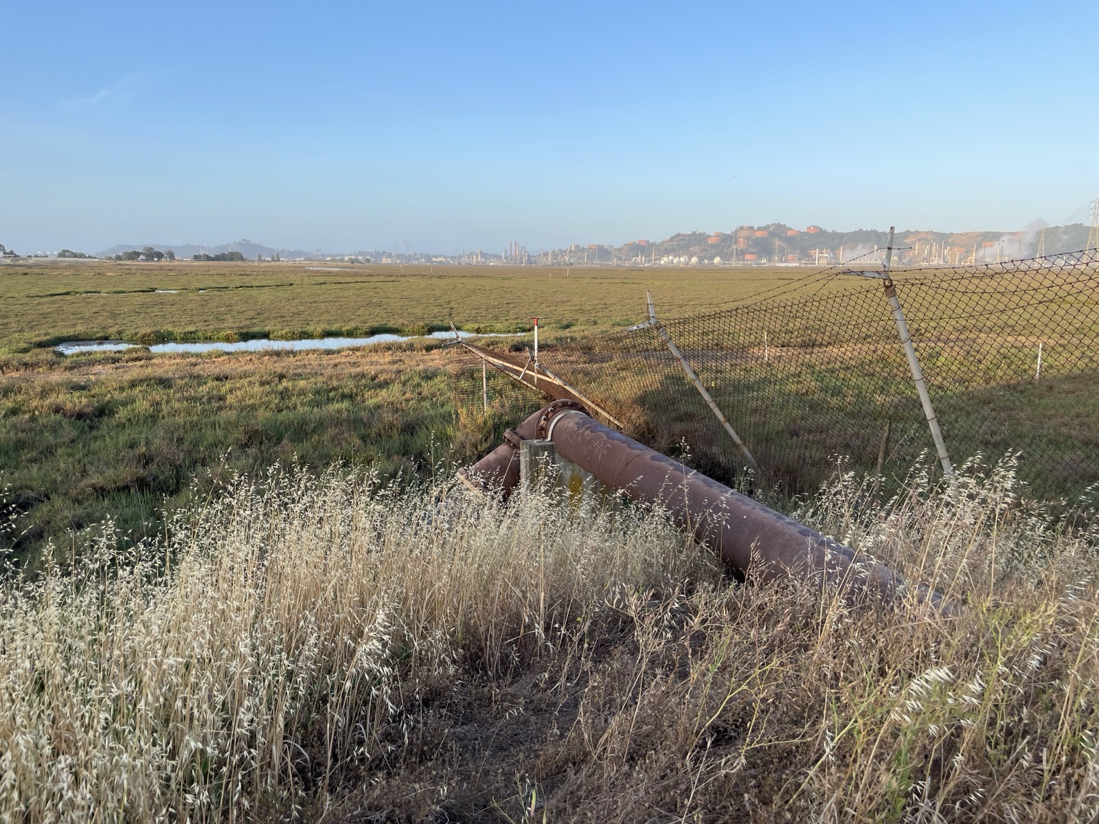 Segment 76, photo 1