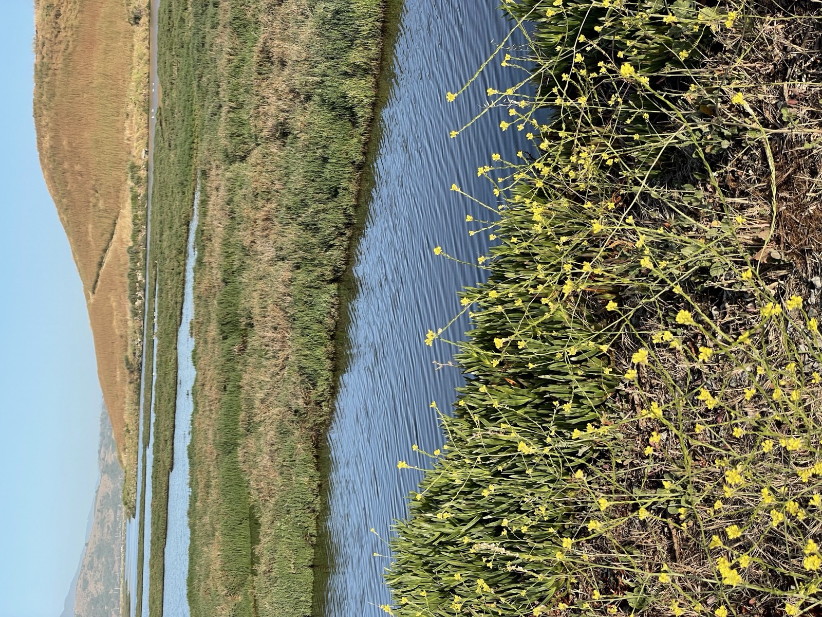 Segment 76, photo 9