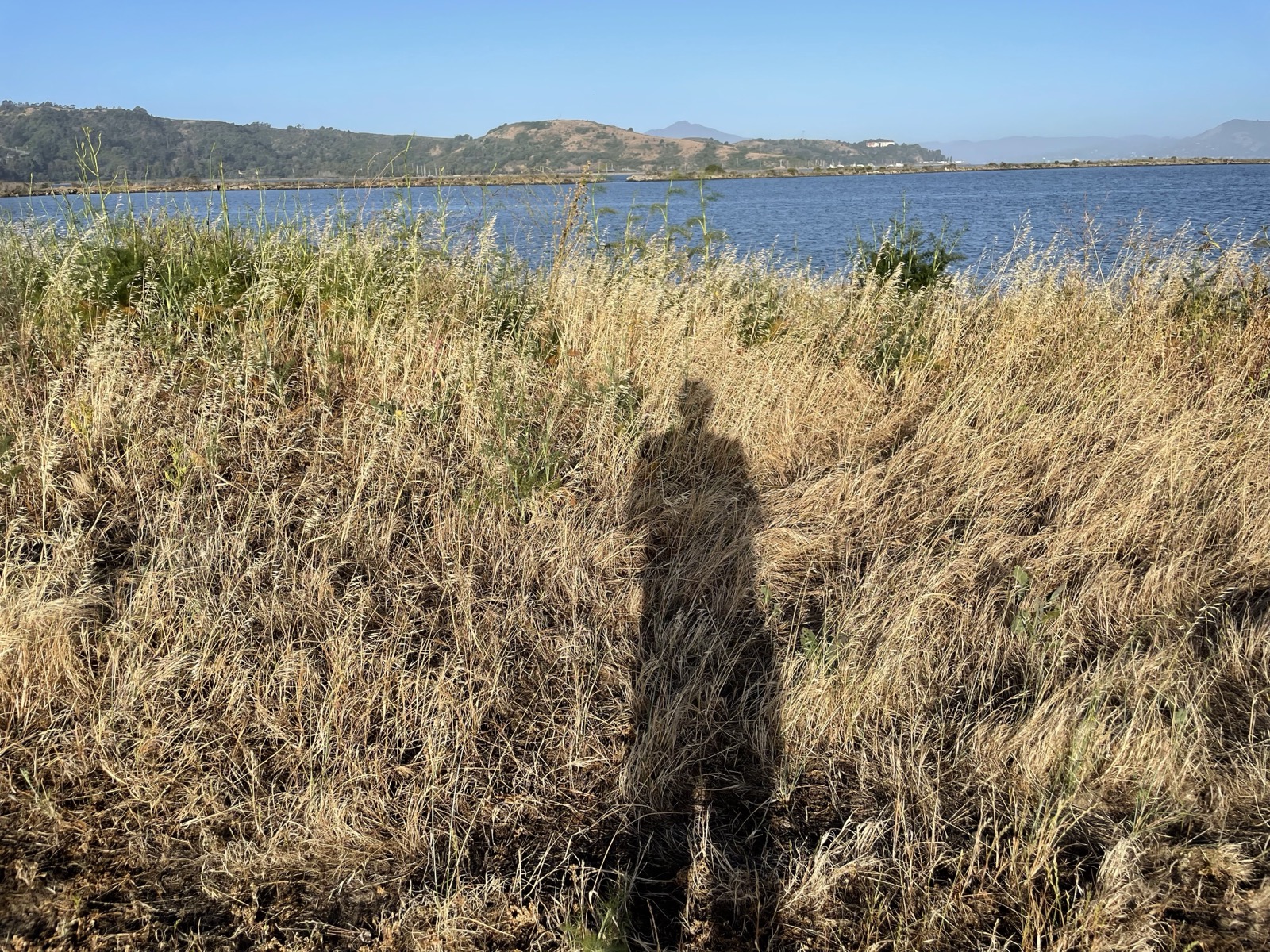Segment 76, photo 11