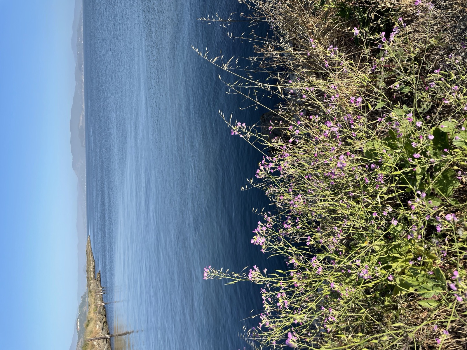 Segment 76, photo 13