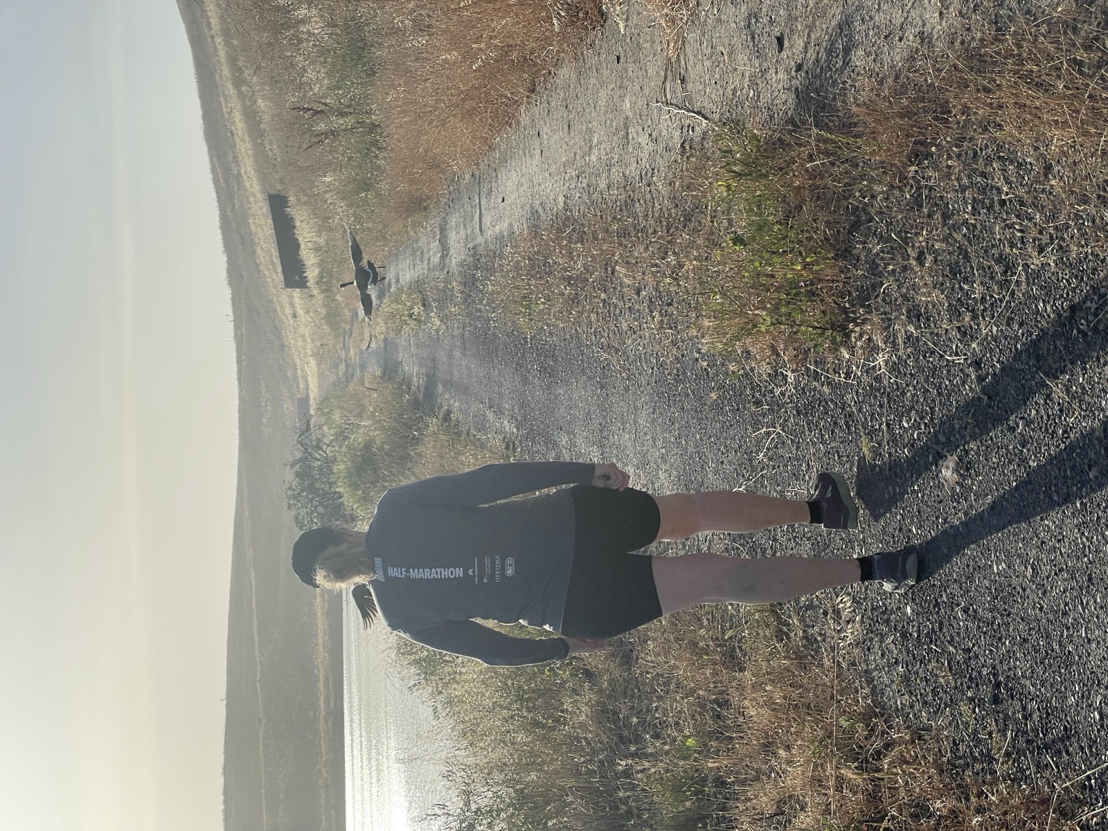 Segment 76, photo 14