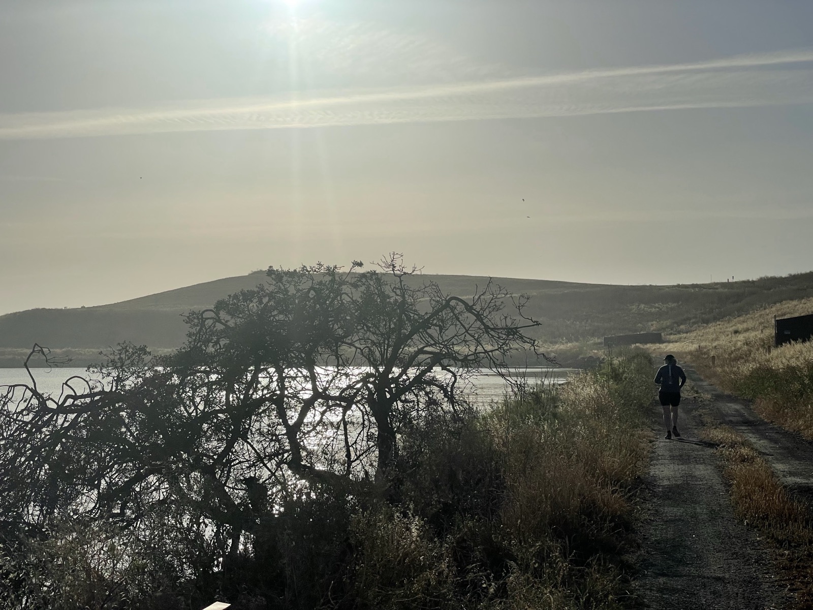 Segment 76, photo 15