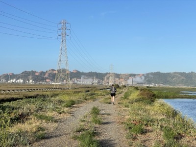 Segment 76 photo 10