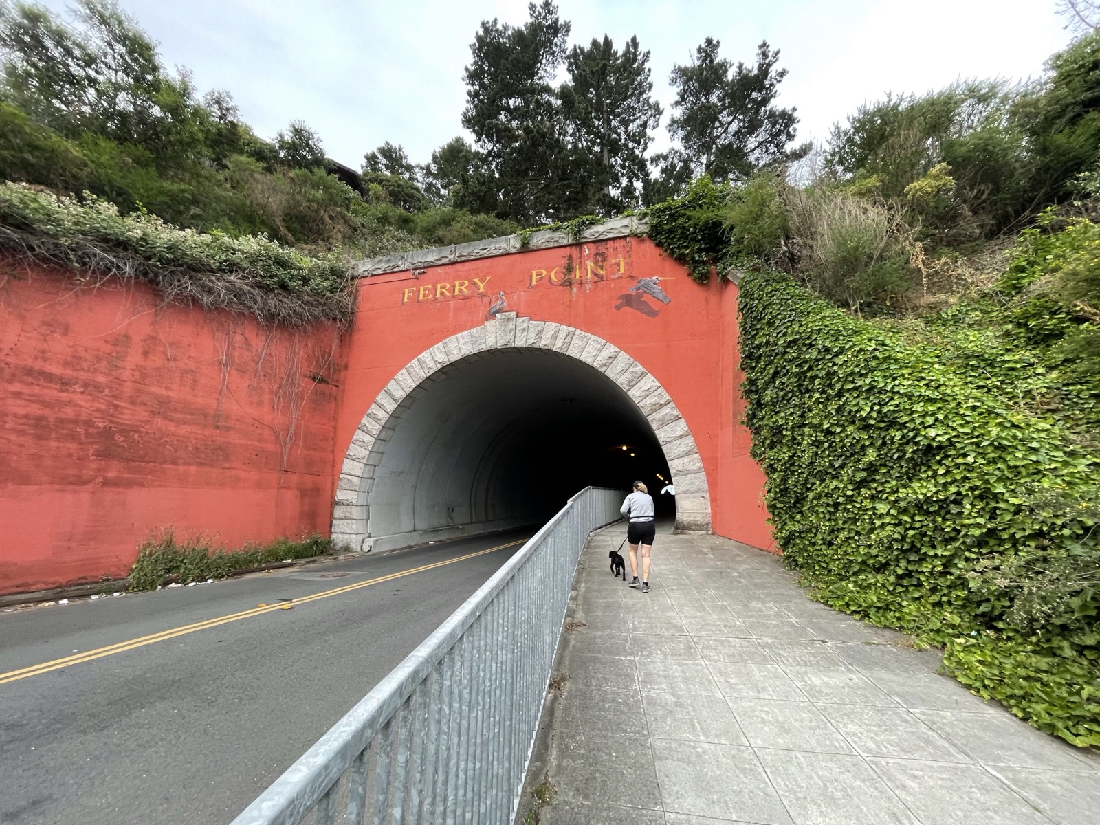 Segment 77, photo 2