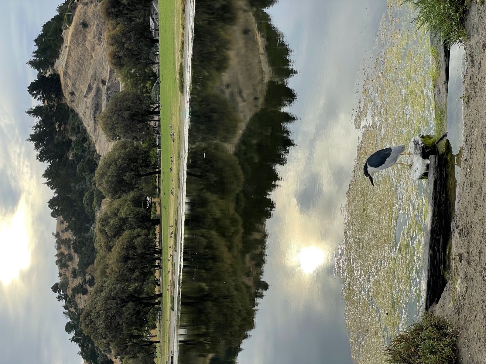 Segment 77, photo 4