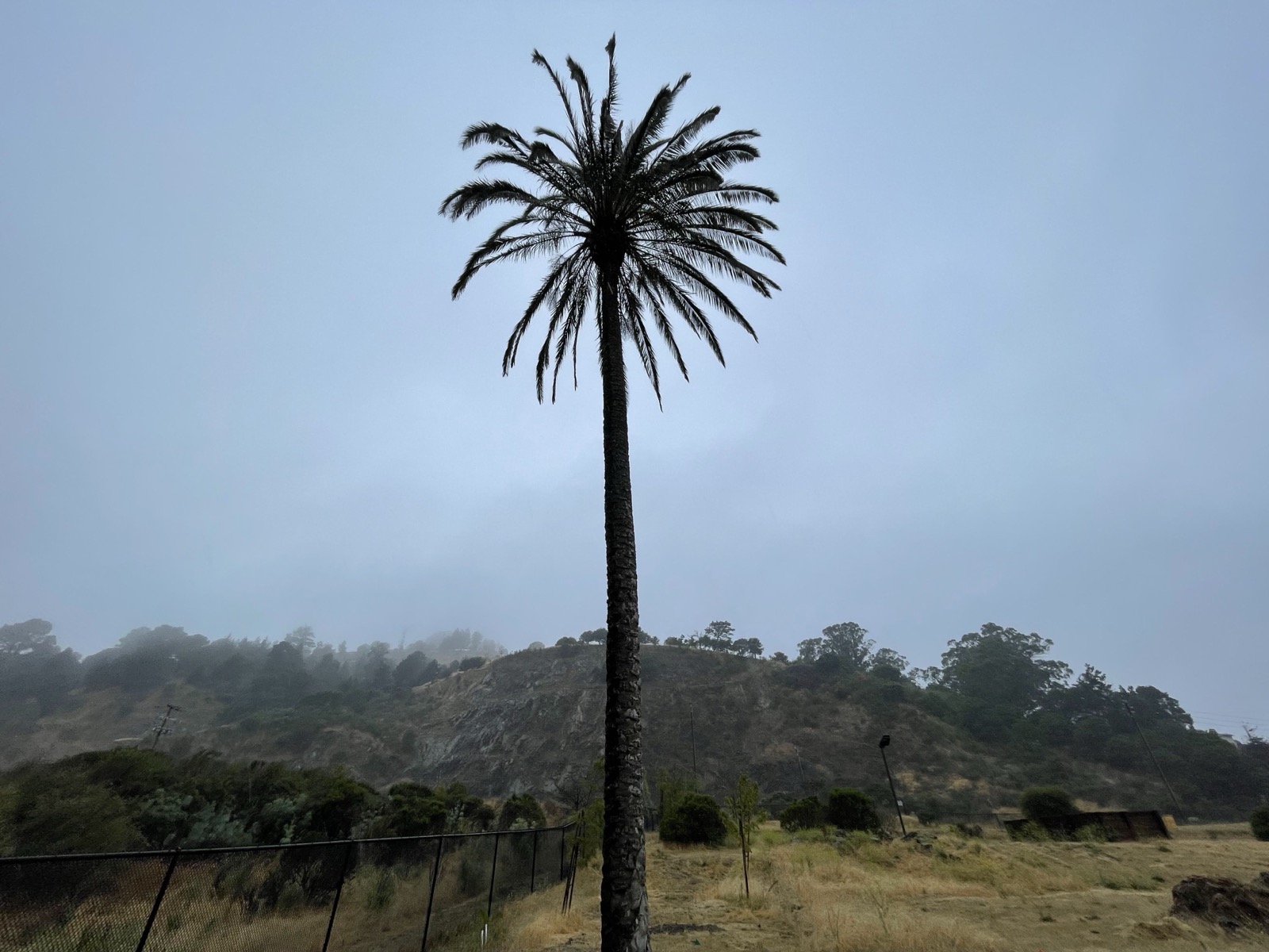 Segment 78, photo 1