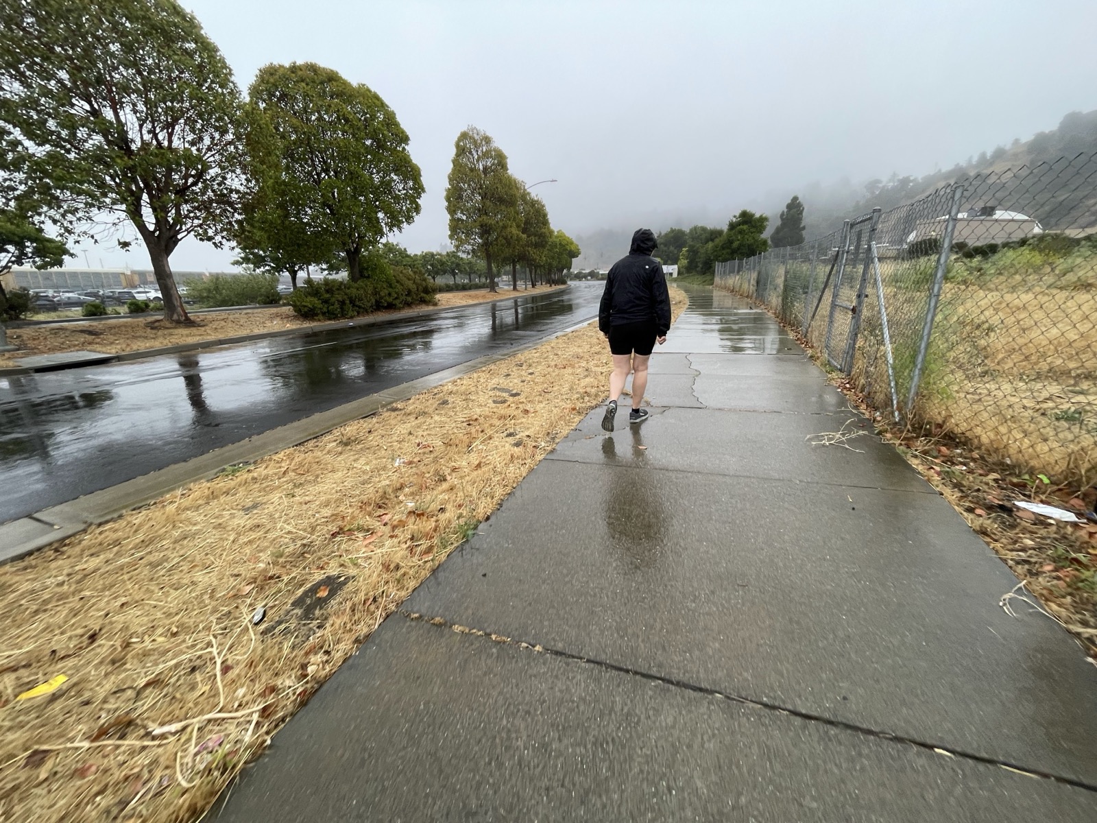 Segment 78, photo 2