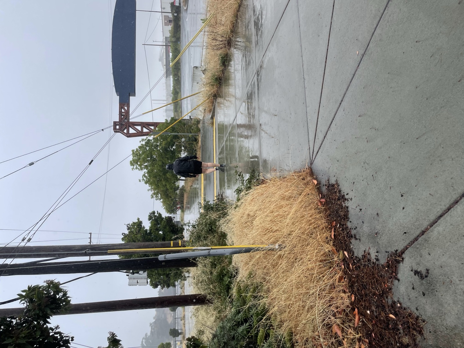 Segment 78, photo 13