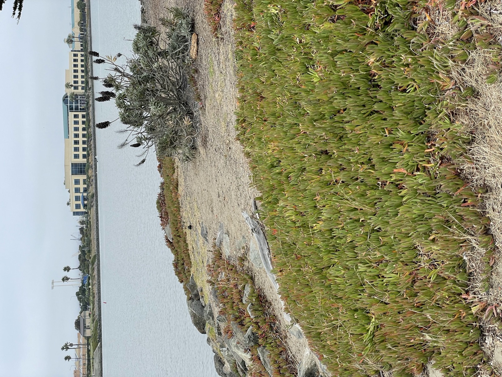 Segment 79, photo 21
