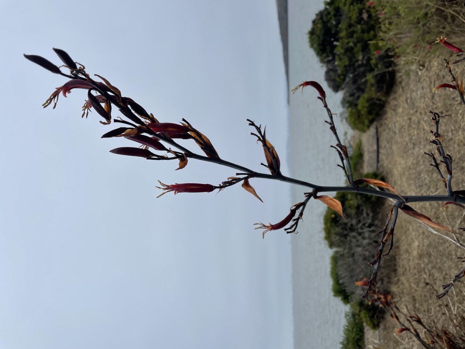 Segment 79, photo 23