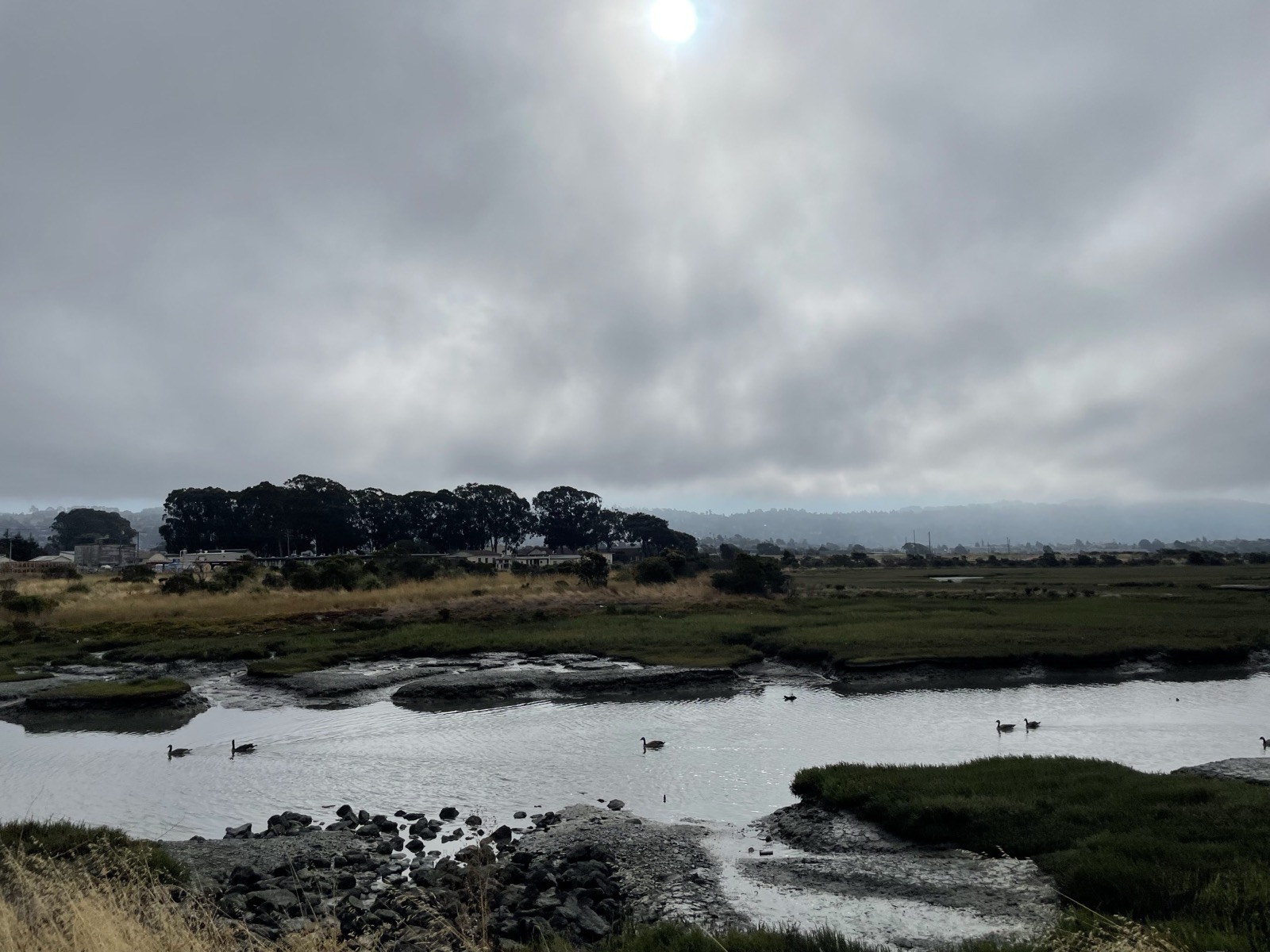 Segment 79, photo 25