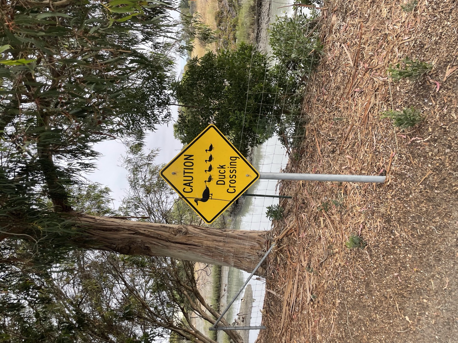 Segment 79, photo 26