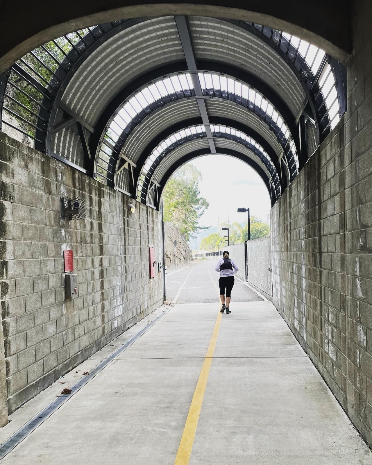 Segment 8, photo 19