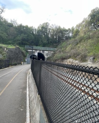Segment 8 photo 18