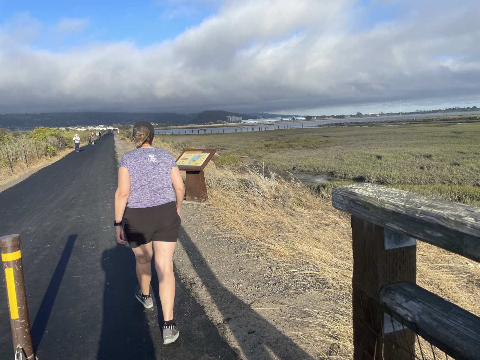 Segment 80, photo 3